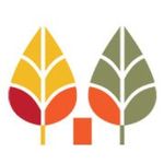 Forest Bell Tents Glamping - @forestbelltents - Instagram