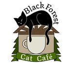 Black Forest Cat Café - @blackforestcatcafe - Instagram