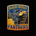 Black Forest Panthers - @blackforestpanthers - Instagram