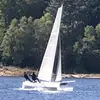 Forest Black - @segeln_schluchsee - TikTok