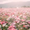 J@N・ジェーン - @jan_jwin - TikTok
