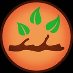 Branch Out Forest School - @branchoutforestschool - Instagram