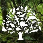 Forest & Bird Northern Branch - @forestbirdnorthern - Instagram