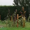 forest blance - @forestbranche - TikTok