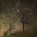 Forest branch - Facebook
