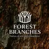 FOREST BRANCHES CHILE - @forestbrancheschile - TikTok