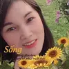 Nhánh Lan Rừng377 - @lanforestbranch1 - TikTok