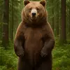 BrownBear - @brownforestbear - TikTok