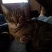 Gerin Brumbaugh - Facebook