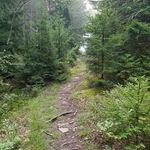 Forest Burke - @solowilderness - Instagram