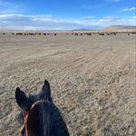 Forrest Burke - @forrest_burke300 - Instagram