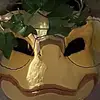 berry.forest.bush - @berry.forest.bush - TikTok