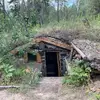 Forest Bushcraft - @forest.bushcraft - TikTok