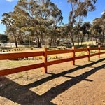 Forest Views Campbells Creek - @forestviews_campbellscreek - Instagram