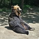 FOCA01 - @forestcastle01 - Instagram