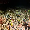 Forrest Castle - @forrest.castle - TikTok