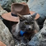 Forest Davis - @forestdavis00 - Instagram