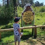 Dillonintheforest - @dillonintheforest - Instagram