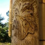 Dunnet Community Forest - @dunnetforest - Instagram