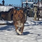 Forest Dunn - @forest.dunn.102 - Instagram