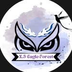 𝐄𝐀𝐆𝐋𝐄•𝐅𝐎𝐑𝐄𝐒𝐓 𝐗-𝟓 - @eagleforest_x5 - Instagram