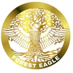 @forest_eagle_web - Instagram