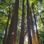 lexie - @foresteagle369 - Instagram