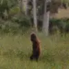 farmercityhauntedforest - @farmercityhauntedforest - TikTok