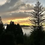 Forest Farmer👨‍🌾🐐🐓🐰🚜🌳🌲 - @forestfarmer831 - Instagram