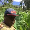 Forest Farmer - @tkforestfarmer - TikTok