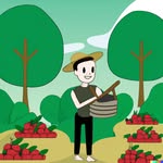 Forest Farmers - @forestfarmers_ - Instagram