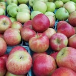 forest farmer's market - @forestfarmersmarket - Instagram