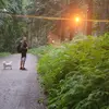 ForestFarmers - @fooreest97 - TikTok
