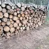 Gazda Erdő - @farmerforest2 - TikTok