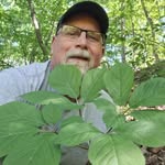 Jeff Johnson - @forest_farmer_johnson - Instagram