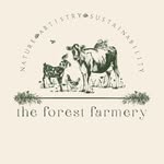 Sarah - The Forest Farmery & Quinn’s Quails - @the.forest.farmery - Instagram