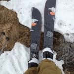 Forest Fields - @forestfields - Instagram
