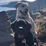 Lola&Floyd - @battlebornlola_forestfloyd - Instagram