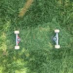Foster Forest - @fosterforest - Instagram