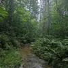 I hate everyone - @forest_foster_ - TikTok