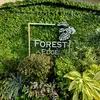 forestedgett - @forestedgett - TikTok