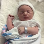 Forest Hamilton - @hamiltonforest - Instagram