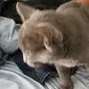 Forrest Hamilton - @forrest.hamilton3 - TikTok