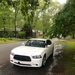 William Forest Hamilton - @williamforesthamilton - Instagram