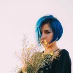 розплідник рослин Hanna Forest - @hanna__forest - Instagram