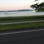 Forest Hanna - @foresthanna332 - Instagram