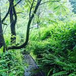 はるな - @little_hanna_forest - Instagram