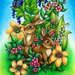 Wonders in the Forest | Hanna Rättyä - @wondersintheforest - Instagram