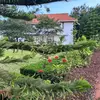 Forest Hill Manor Gulu - @forest.hill.manor - TikTok