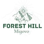 Forest Hill Migovo - @forest_hill_migovo - Instagram